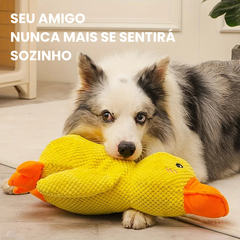 Pato Amigo Suporte Emocional